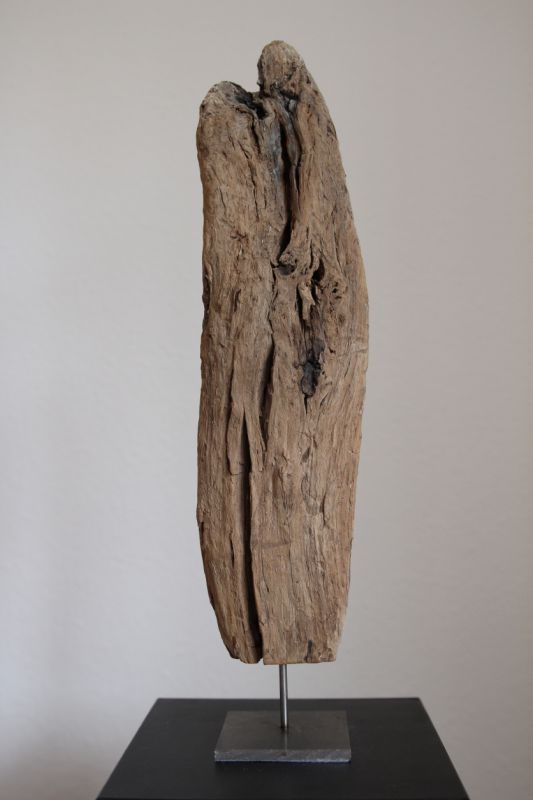 UD6_Von_20unten_2C_20Eiche_2C_20147_20cm0